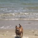 Photo of Kiki