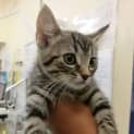 Photo of Junebug
