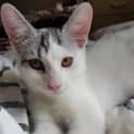 Photo of Eli