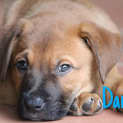 Photo of Danny