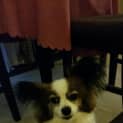 Photo of Andee 
