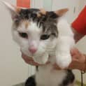 Photo of Shelly
