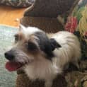Photo of Polly Our Precious Little Lady