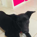 Photo of Chloe
