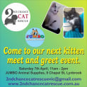 Photo of Deeanne **2nd Chance Cat Rescue**