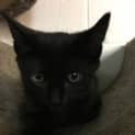 Photo of Elliot