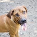 Photo of Rocky Aka Wayde