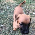 Photo of Storm