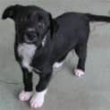 Photo of Jack