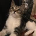 Photo of Kloe