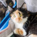 Photo of Jacie