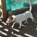 Photo of Molly
