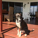 Photo of Kaya