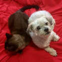 Photo of Franya