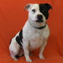 Photo of Thor