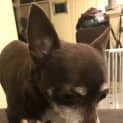 Photo of Max