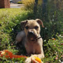 Photo of "Tao"