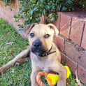 Photo of "Tao"