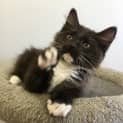 Photo of Calvin