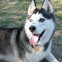 Photo of Cami
