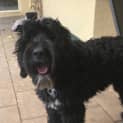 Photo of Lola