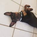 Photo of Vinnie