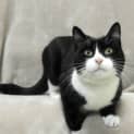 Photo of Clyde