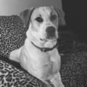 Photo of Knox