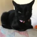 Photo of Samantha