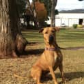 Photo of Gretel