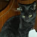 Photo of Molly