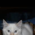 Photo of Teddy