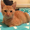 Photo of Myla