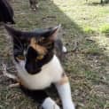 Photo of Phoebe