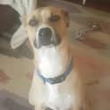 Photo of Kodie