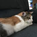 Photo of Elly