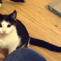 Photo of Kiki