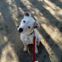 Photo of Jemima