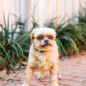 Photo of Bella