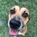 Photo of Bubbles