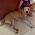 Photo of Jazz