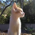 Photo of Jasper ๐