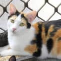 Photo of Nell