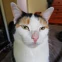 Photo of Nell