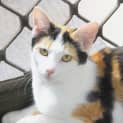 Photo of Nell