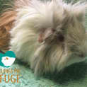 Photo of Candy