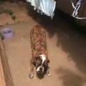 Photo of Elli