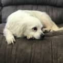Photo of Jasper ๐