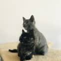 Photo of Kiara ๐