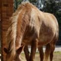 Photo of Tiny